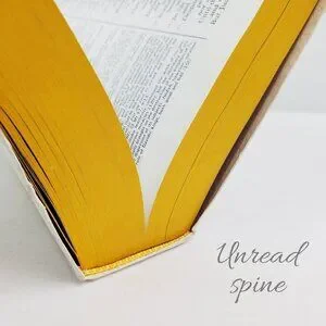 Other | Saint Joseph New American Bible Catholic Publishing Medium Size ...